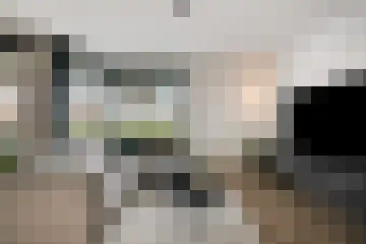 Waterviolier 14 Breda thumbnail 25