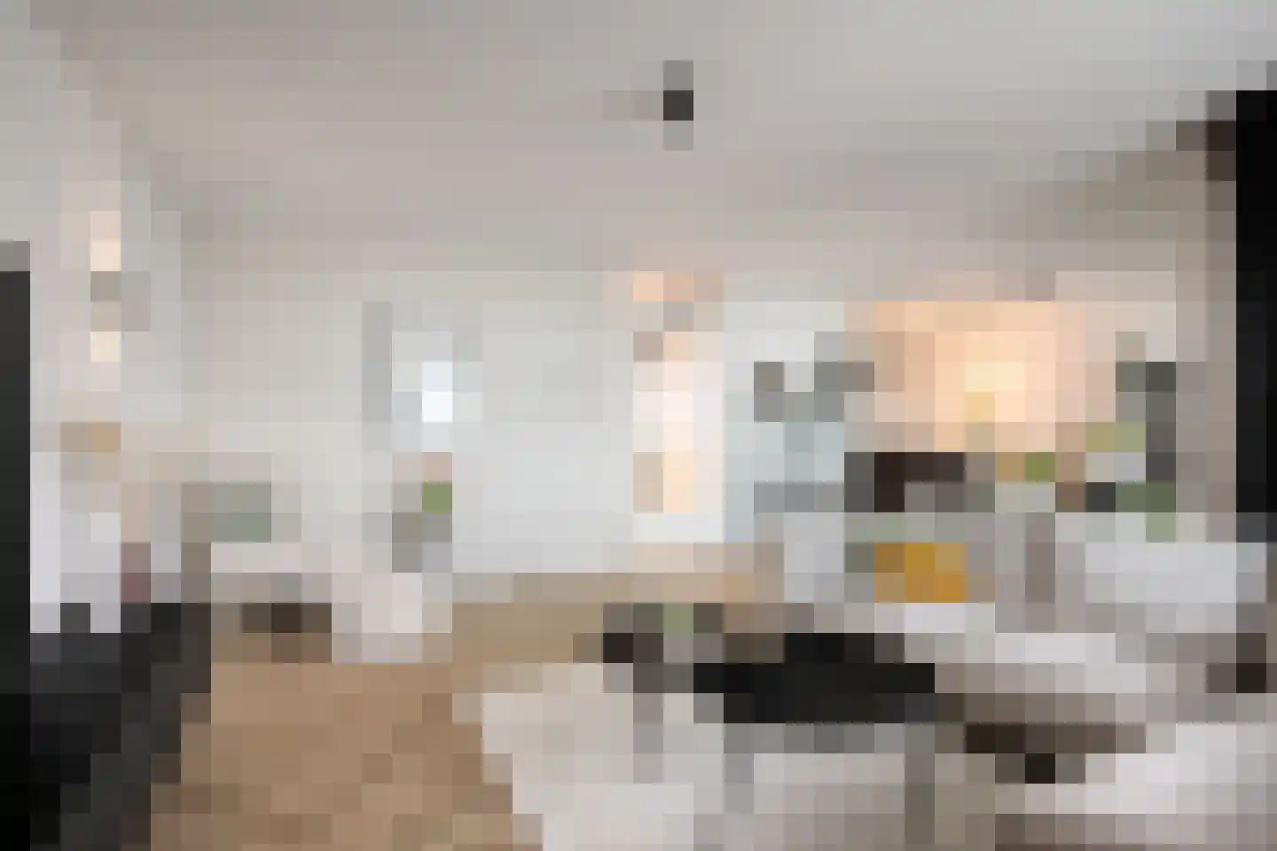 Waterviolier 14 Breda thumbnail 27