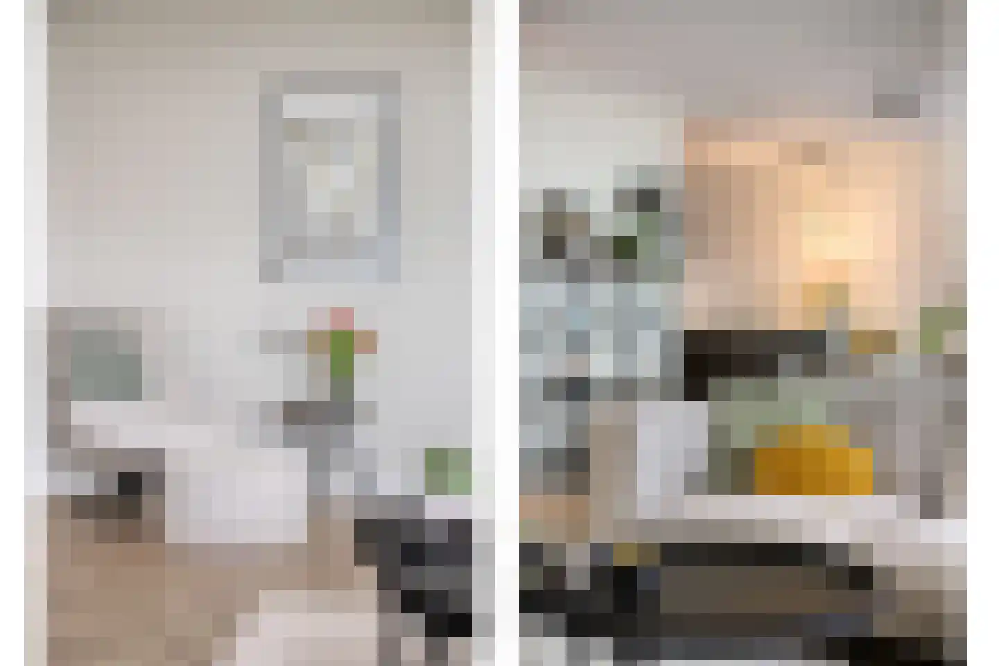 Waterviolier 14 Breda thumbnail 28