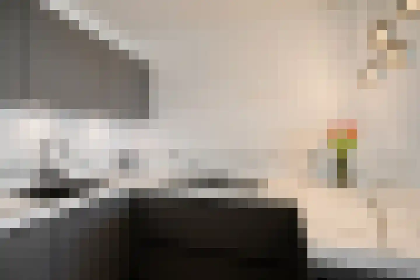 Waterviolier 14 Breda thumbnail 30
