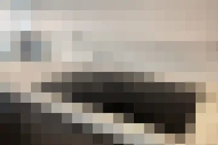 Waterviolier 14 Breda thumbnail 31