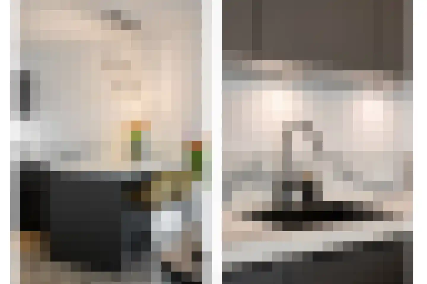 Waterviolier 14 Breda thumbnail 33