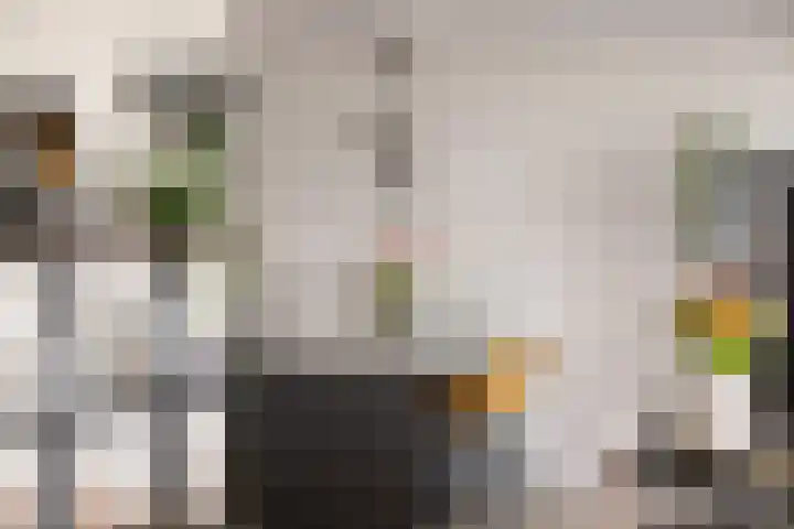 Waterviolier 14 Breda thumbnail 35