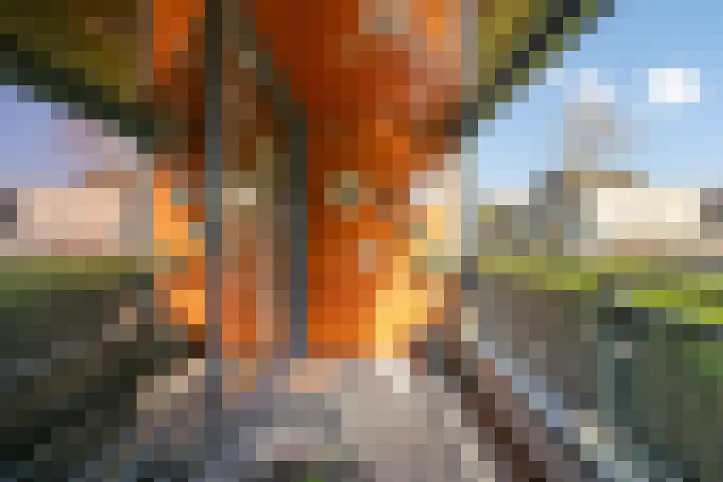 Waterviolier 14 Breda thumbnail 37