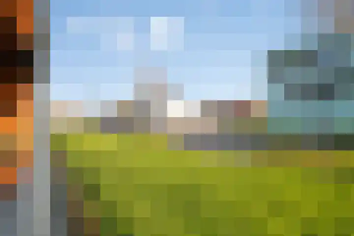 Waterviolier 14 Breda thumbnail 38