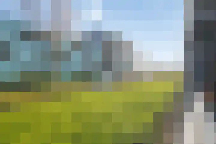Waterviolier 14 Breda thumbnail 39