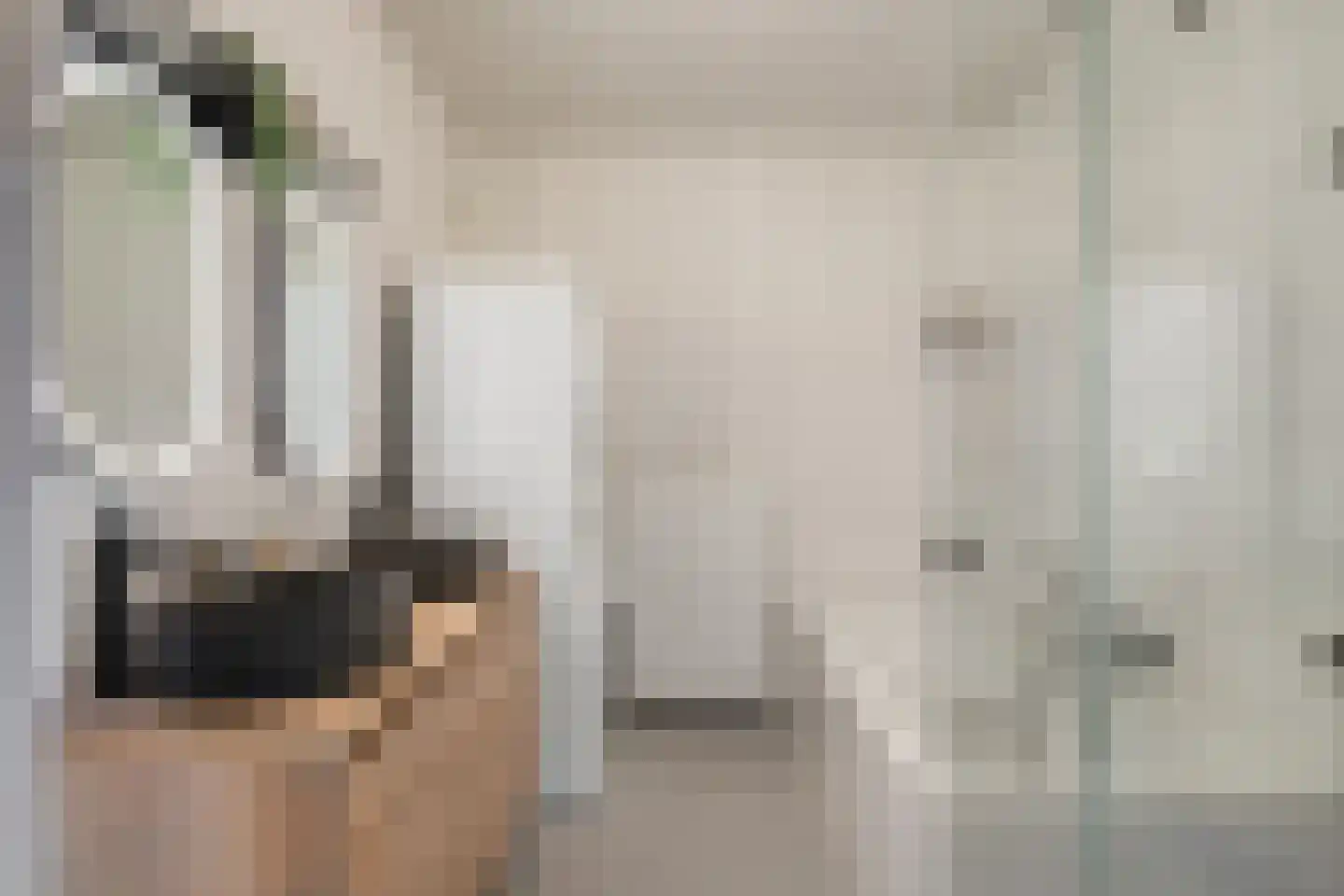 Waterviolier 14 Breda thumbnail 4