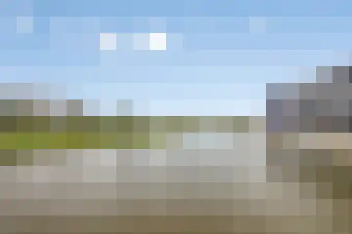 Waterviolier 14 Breda thumbnail 42