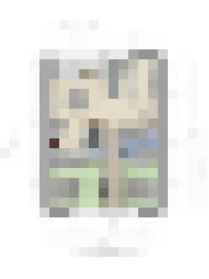 Waterviolier 14 Breda thumbnail 46