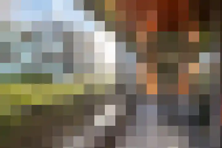 Waterviolier 14 Breda thumbnail 5