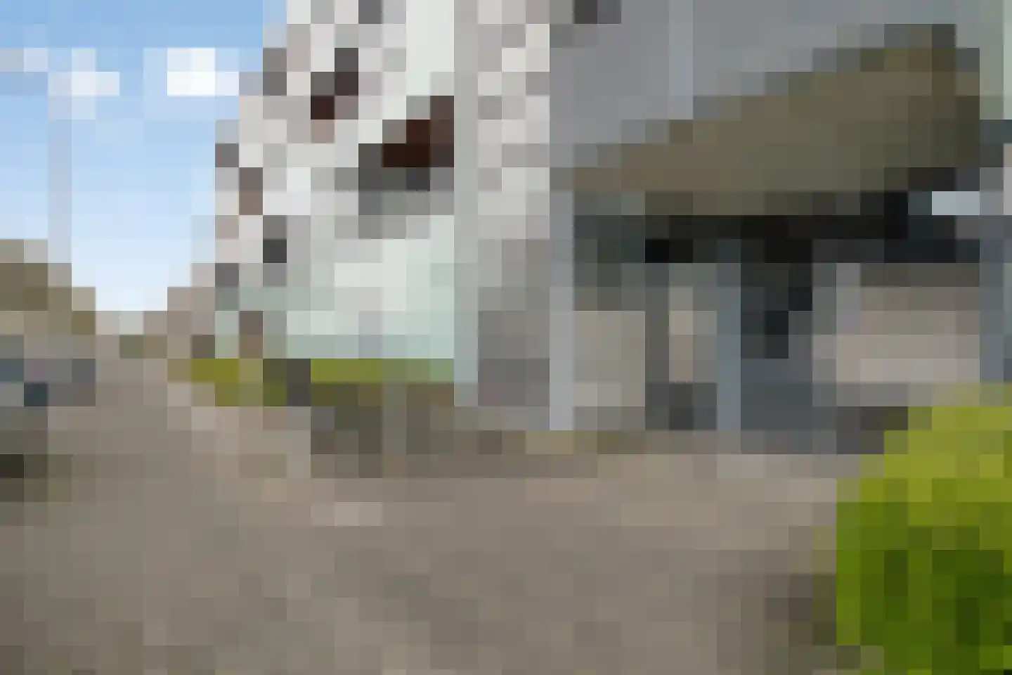 Waterviolier 14 Breda thumbnail 7