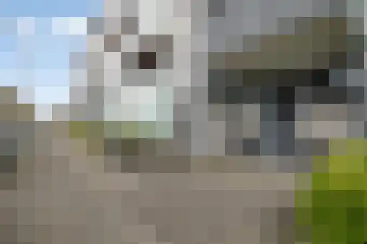 Waterviolier 14 Breda thumbnail 7