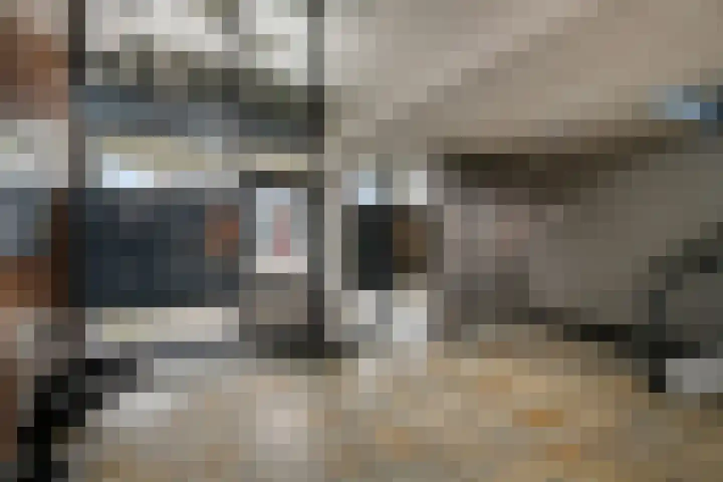 Waterviolier 14 Breda thumbnail 8