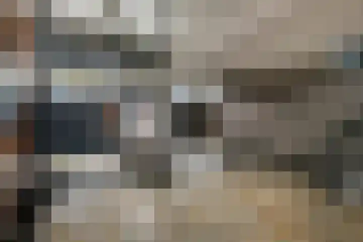Waterviolier 14 Breda thumbnail 8