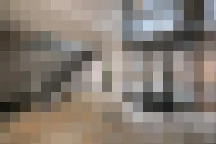 Waterviolier 14 Breda thumbnail 9