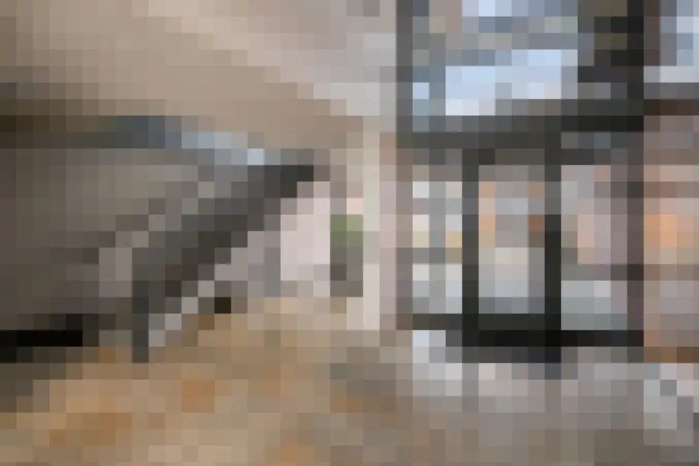 Waterviolier 14 Breda thumbnail 9