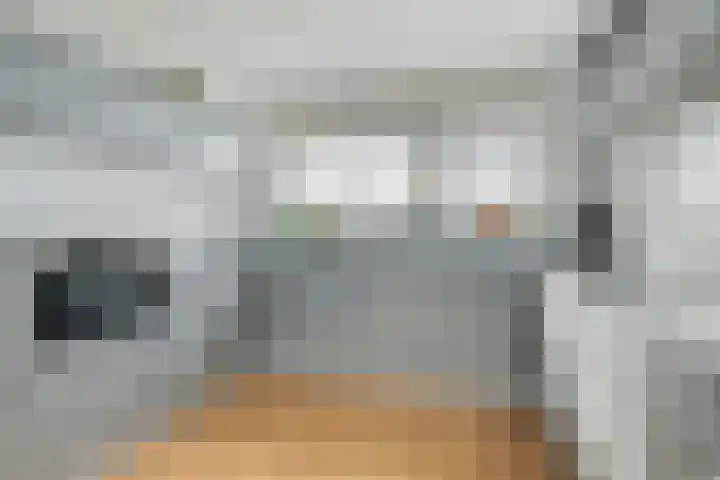 Waterviolier 152 Breda thumbnail 11
