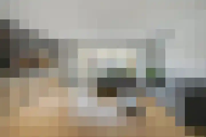 Waterviolier 152 Breda thumbnail 16