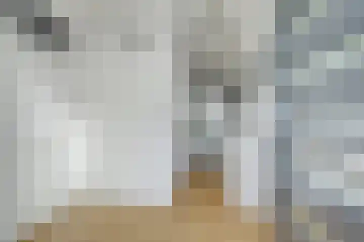 Waterviolier 152 Breda thumbnail 18