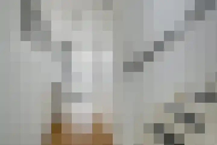 Waterviolier 152 Breda thumbnail 21