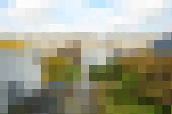 Waterviolier 152 Breda thumbnail 22