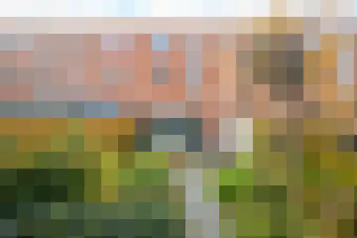 Waterviolier 152 Breda thumbnail 23