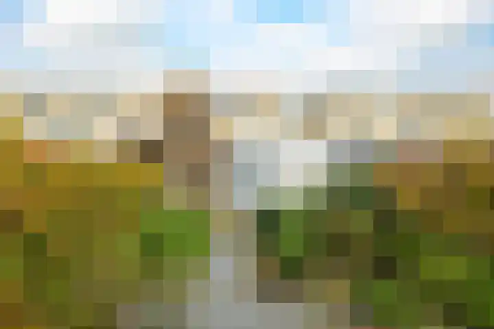 Waterviolier 152 Breda thumbnail 26