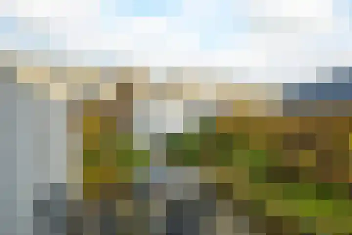 Waterviolier 152 Breda thumbnail 28