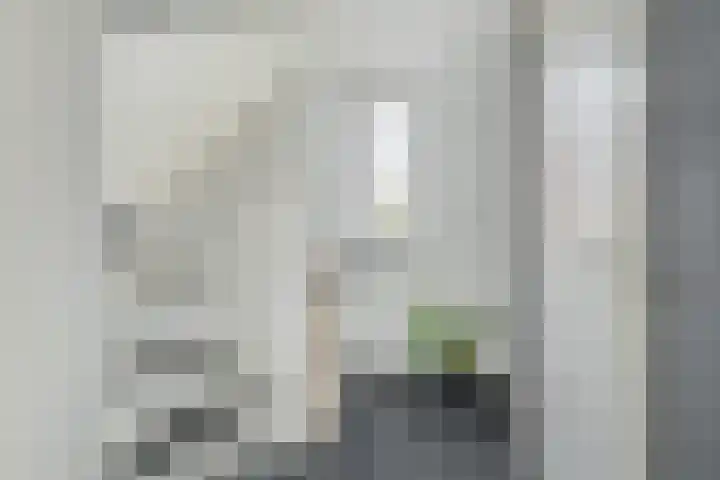 Waterviolier 152 Breda thumbnail 30