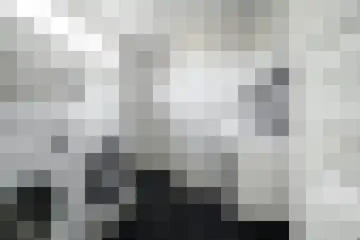 Waterviolier 152 Breda thumbnail 31