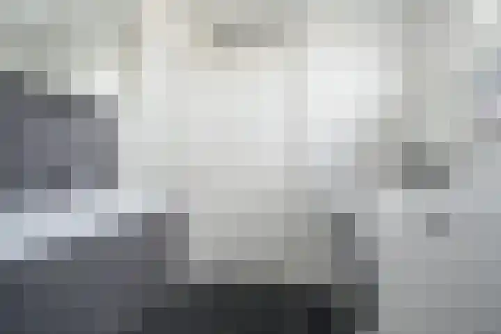 Waterviolier 152 Breda thumbnail 32