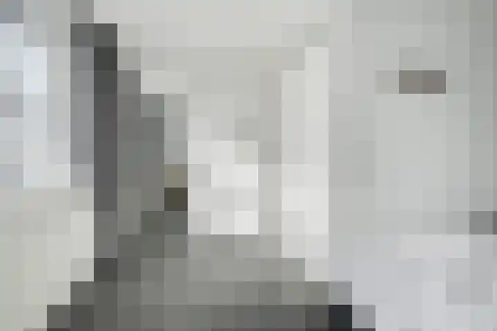 Waterviolier 152 Breda thumbnail 37