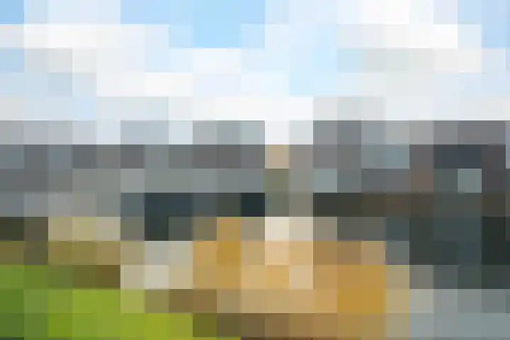 Waterviolier 152 Breda thumbnail 47