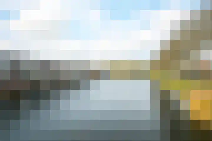 Waterviolier 152 Breda thumbnail 49