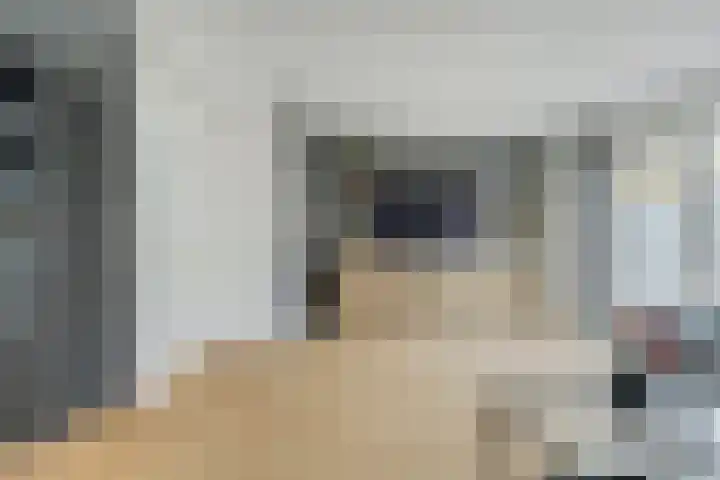 Waterviolier 152 Breda thumbnail 6