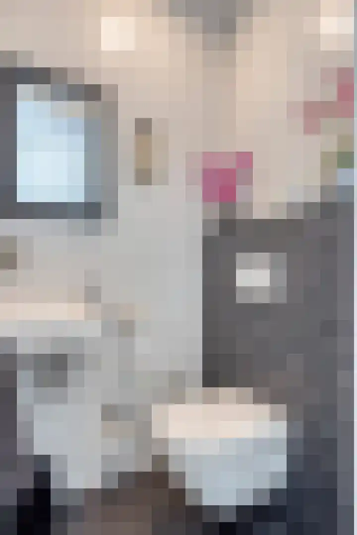 Waterviolier 16 Aalst thumbnail 11