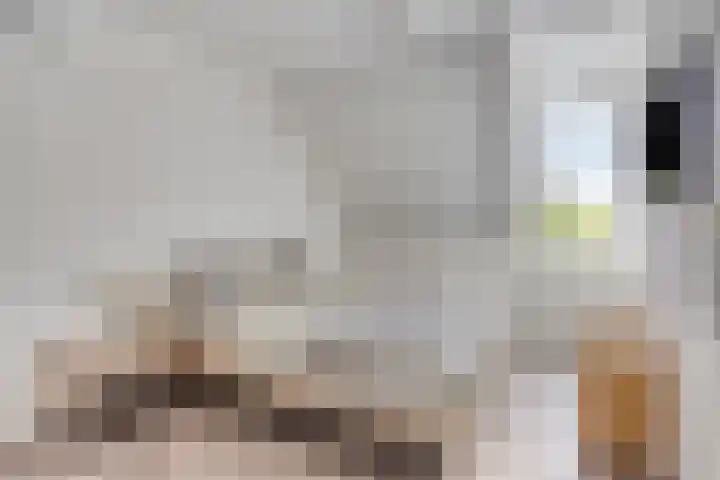 Waterviolier 16 Aalst thumbnail 13