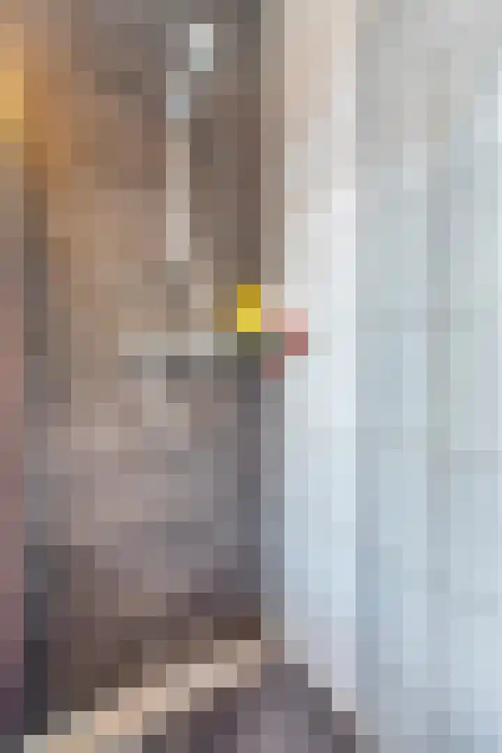 Waterviolier 16 Aalst thumbnail 20