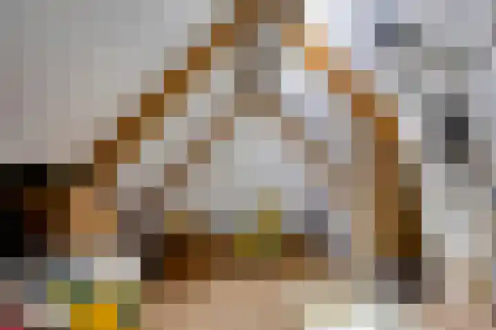 Waterviolier 16 Aalst thumbnail 22