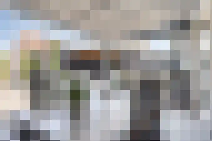 Waterviolier 16 Aalst thumbnail 23