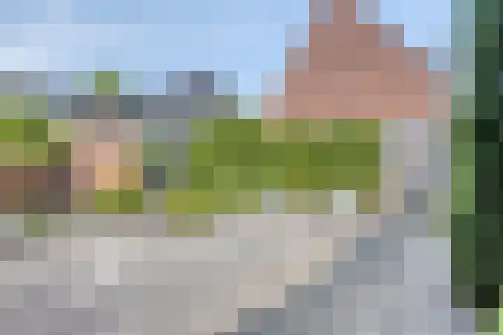 Waterviolier 16 Aalst thumbnail 24