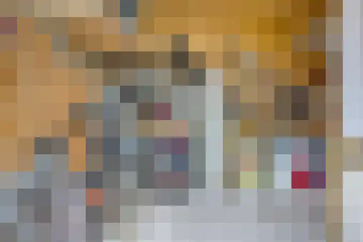 Waterviolier 16 Aalst thumbnail 26