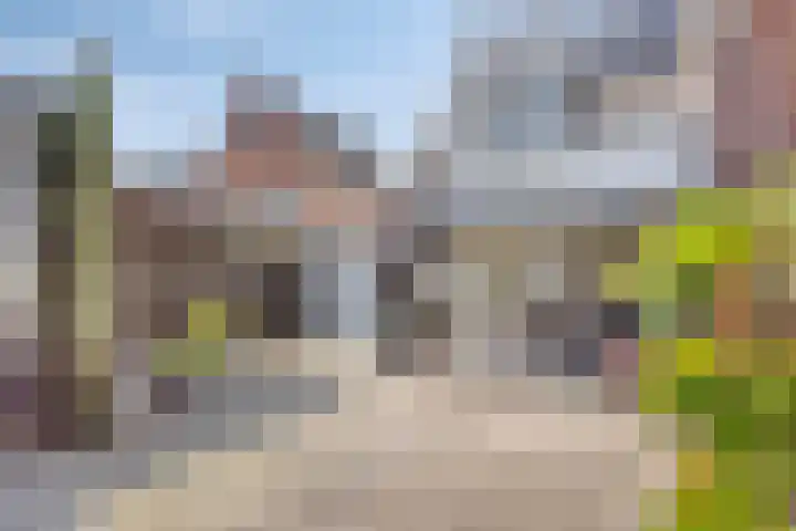Waterviolier 16 Aalst thumbnail 28