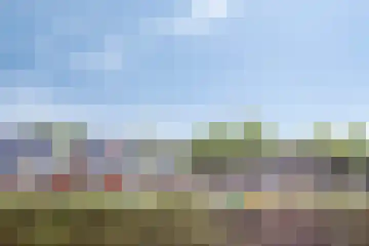Waterviolier 16 Aalst thumbnail 31