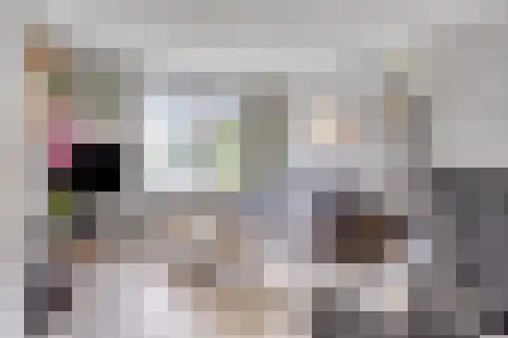 Waterviolier 16 Aalst thumbnail 4