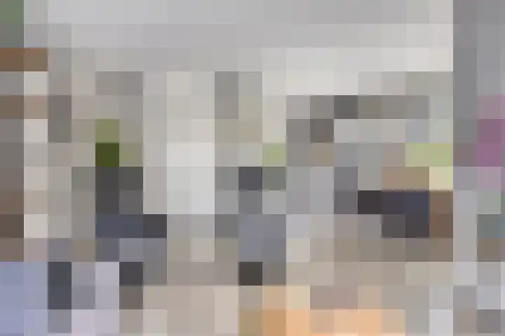 Waterviolier 16 Aalst thumbnail 5