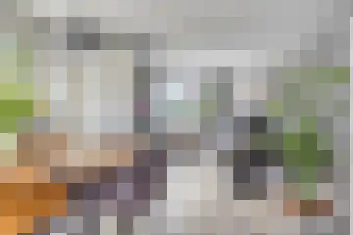Waterviolier 16 Aalst thumbnail 6