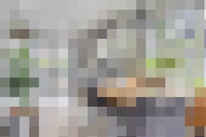 Waterviolier 16 Aalst thumbnail 7