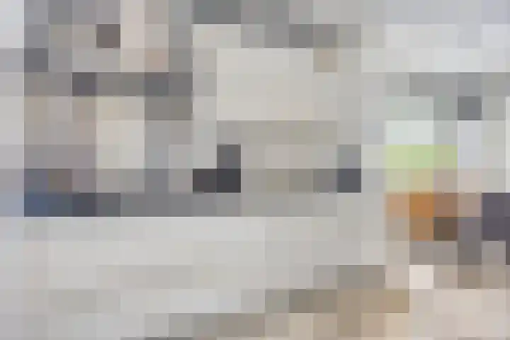 Waterviolier 16 Aalst thumbnail 8