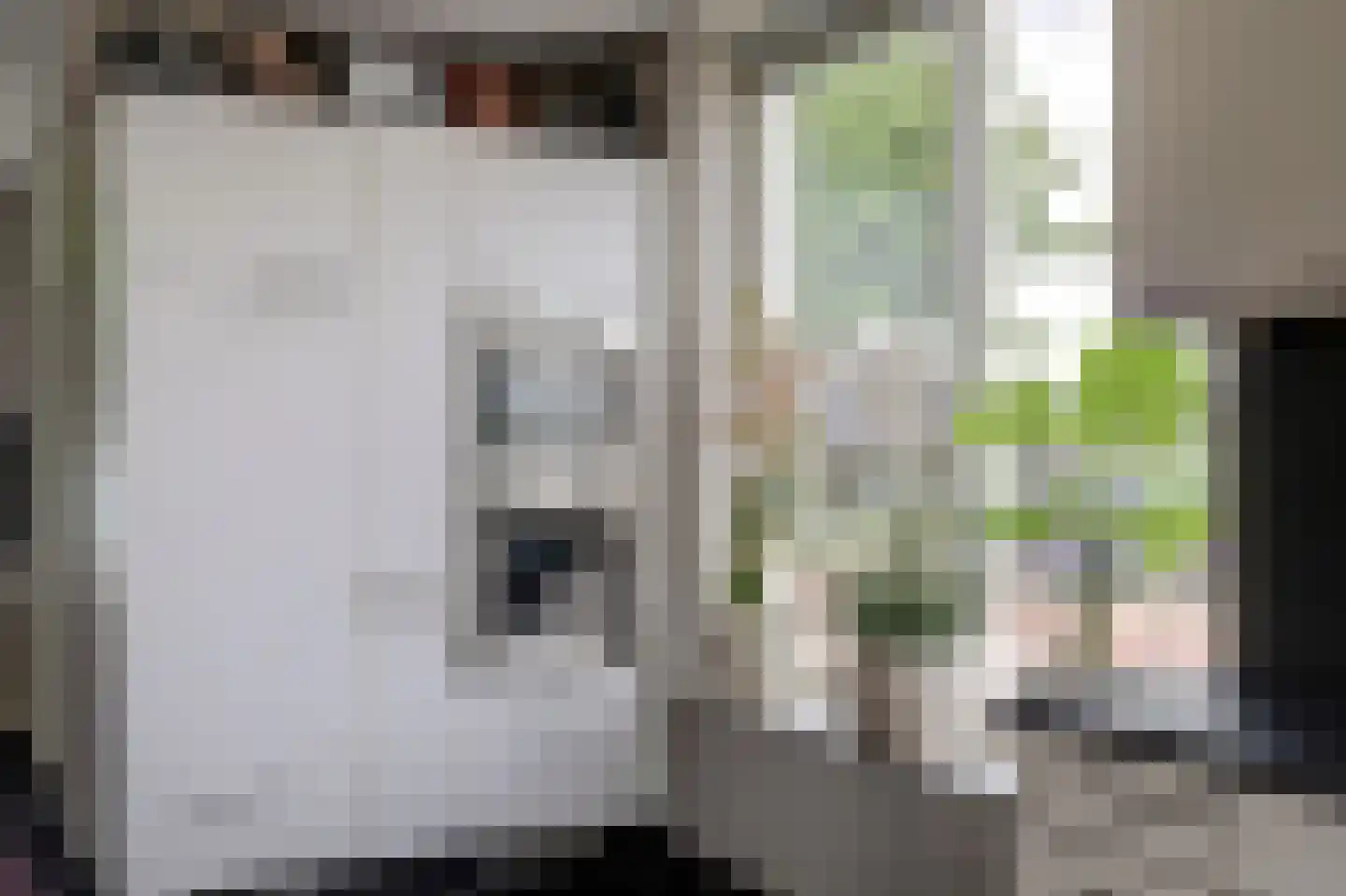 Waterviolier 18 Aalst thumbnail 11